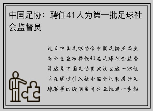 中国足协：聘任41人为第一批足球社会监督员