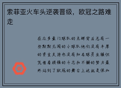 索菲亚火车头逆袭晋级，欧冠之路难走