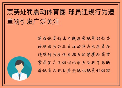 禁赛处罚震动体育圈 球员违规行为遭重罚引发广泛关注